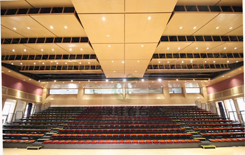 樂灣國際學(xué)校電動軟包椅伸縮看臺