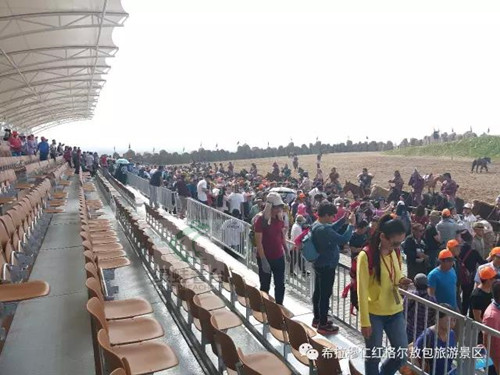 綠蛙看臺(tái)在紅格爾敖包邀您欣賞《漠南傳奇》