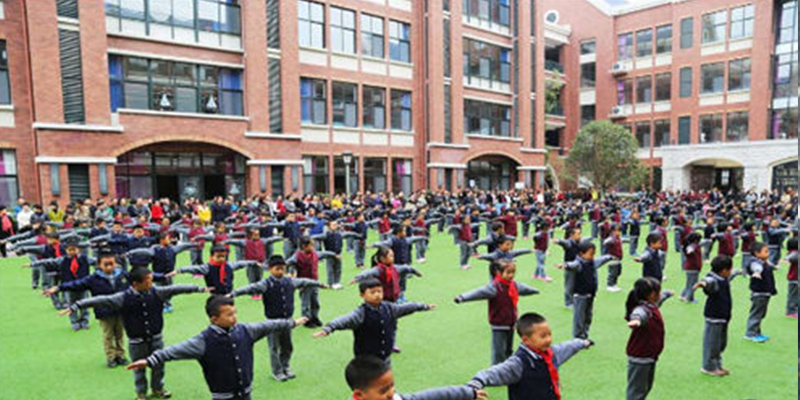 綠蛙成功落戶于樂(lè)灣國(guó)際實(shí)驗(yàn)小學(xué)多功能廳